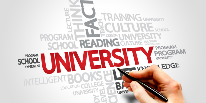 A hand holding a pen underlining the word "UNIVERSITY" surrounded by other related terms such as "education," "program," "training," and "culture.